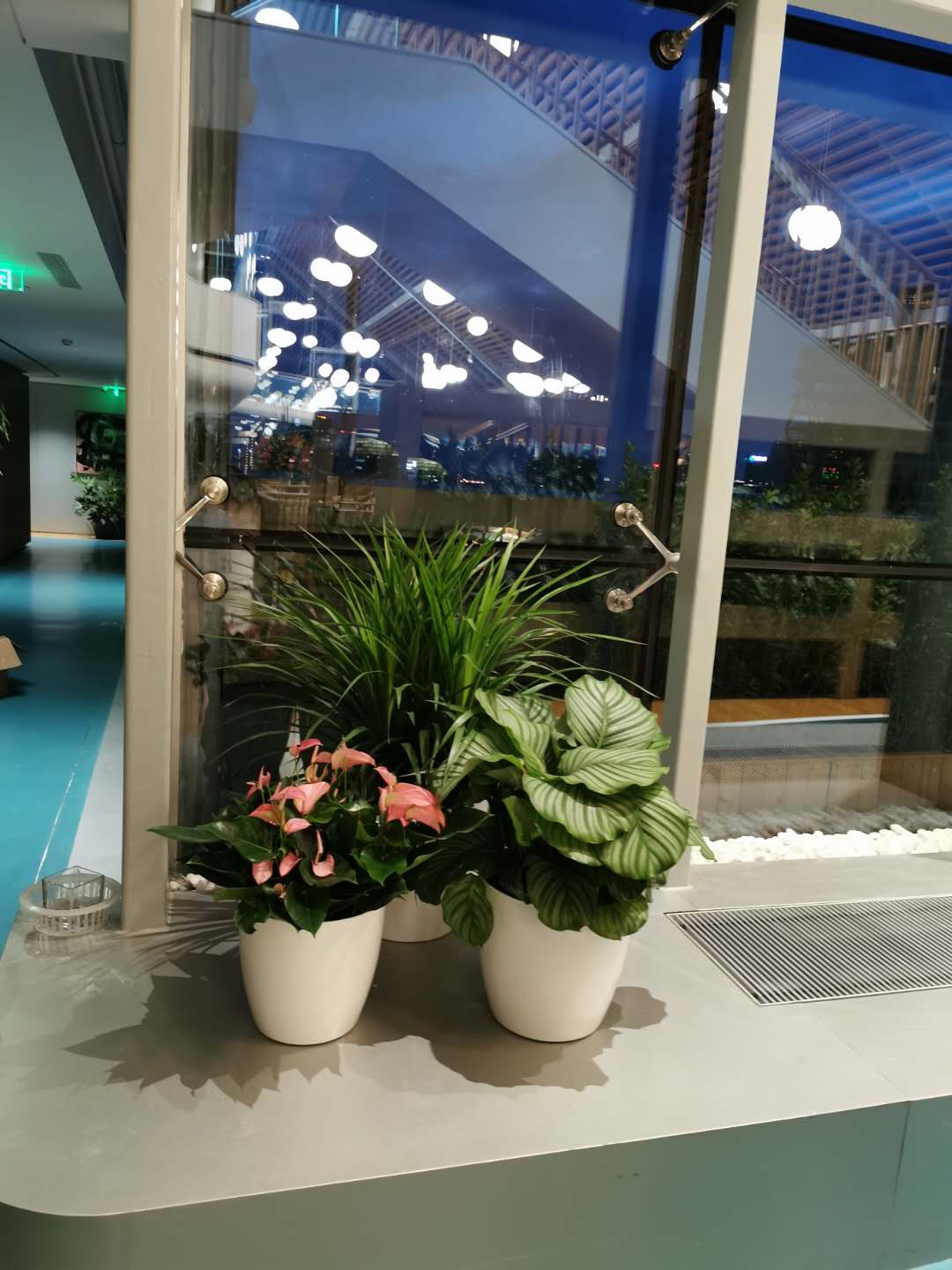 組合植物