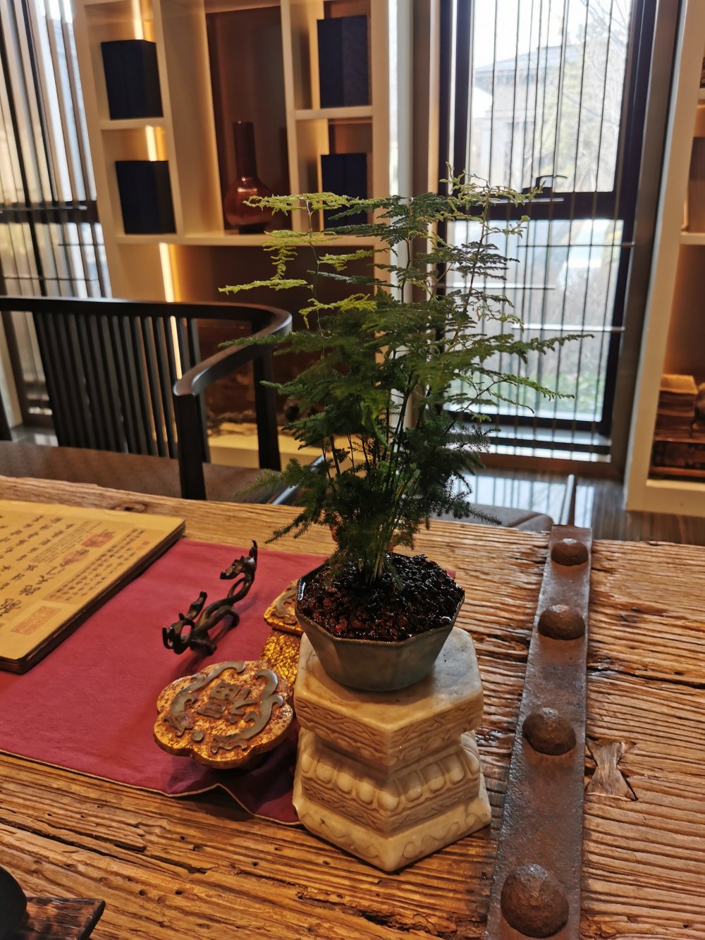 酒店植物租擺案例